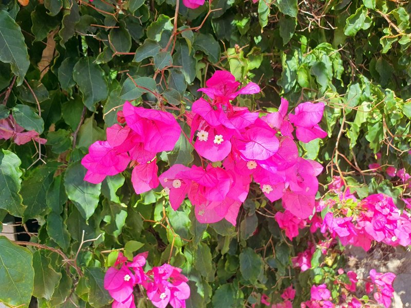 Sesimbra Stadt und Burg 2023