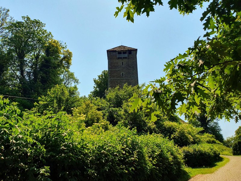 Burg Schaumburg - 2023