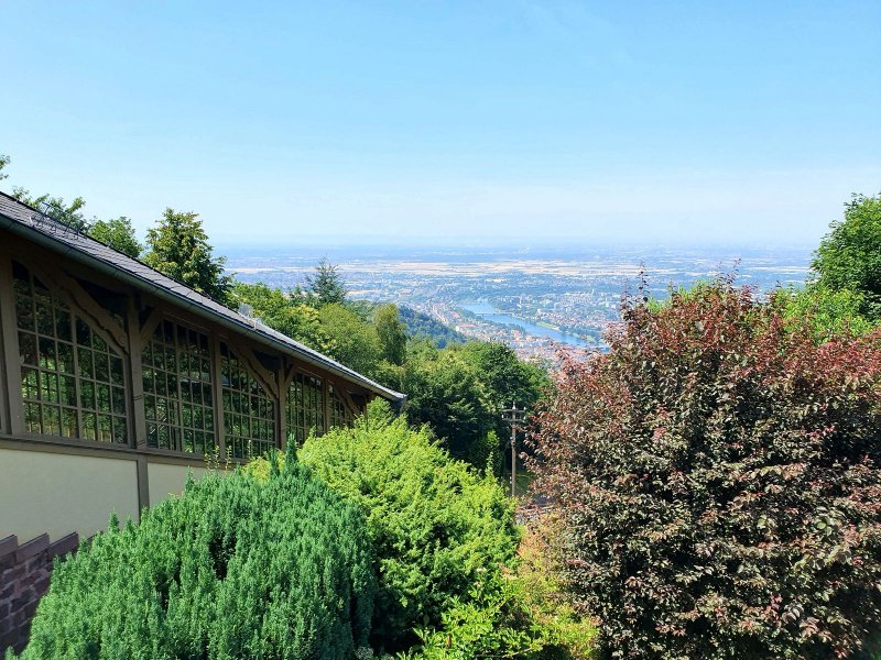 Heidelberg - Bergbahn - 2025