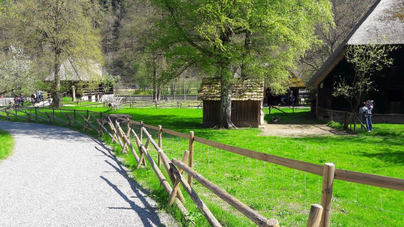 Freilichtmuseum Vogtsbauernhof 2017