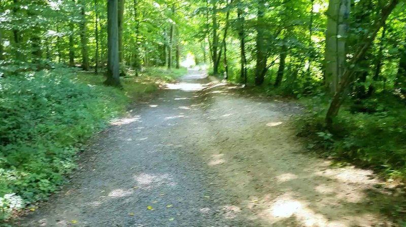 Video Burg Eltz - 2025