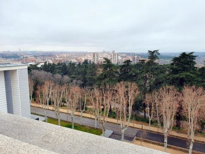 Plaza del Armeria 2024