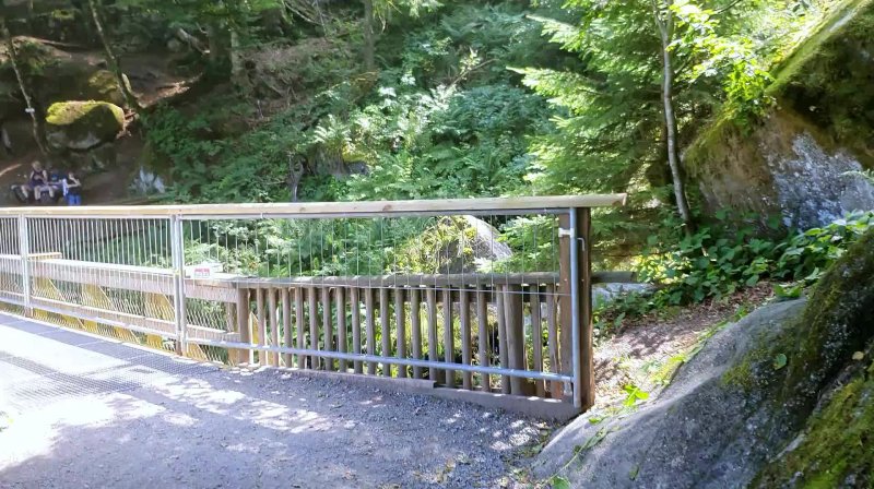 Video Triberger Wasserfall - 2025