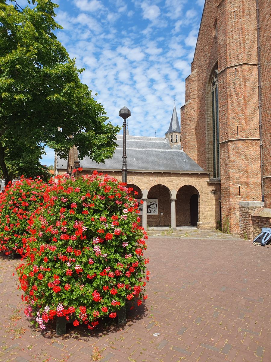 Fotografie