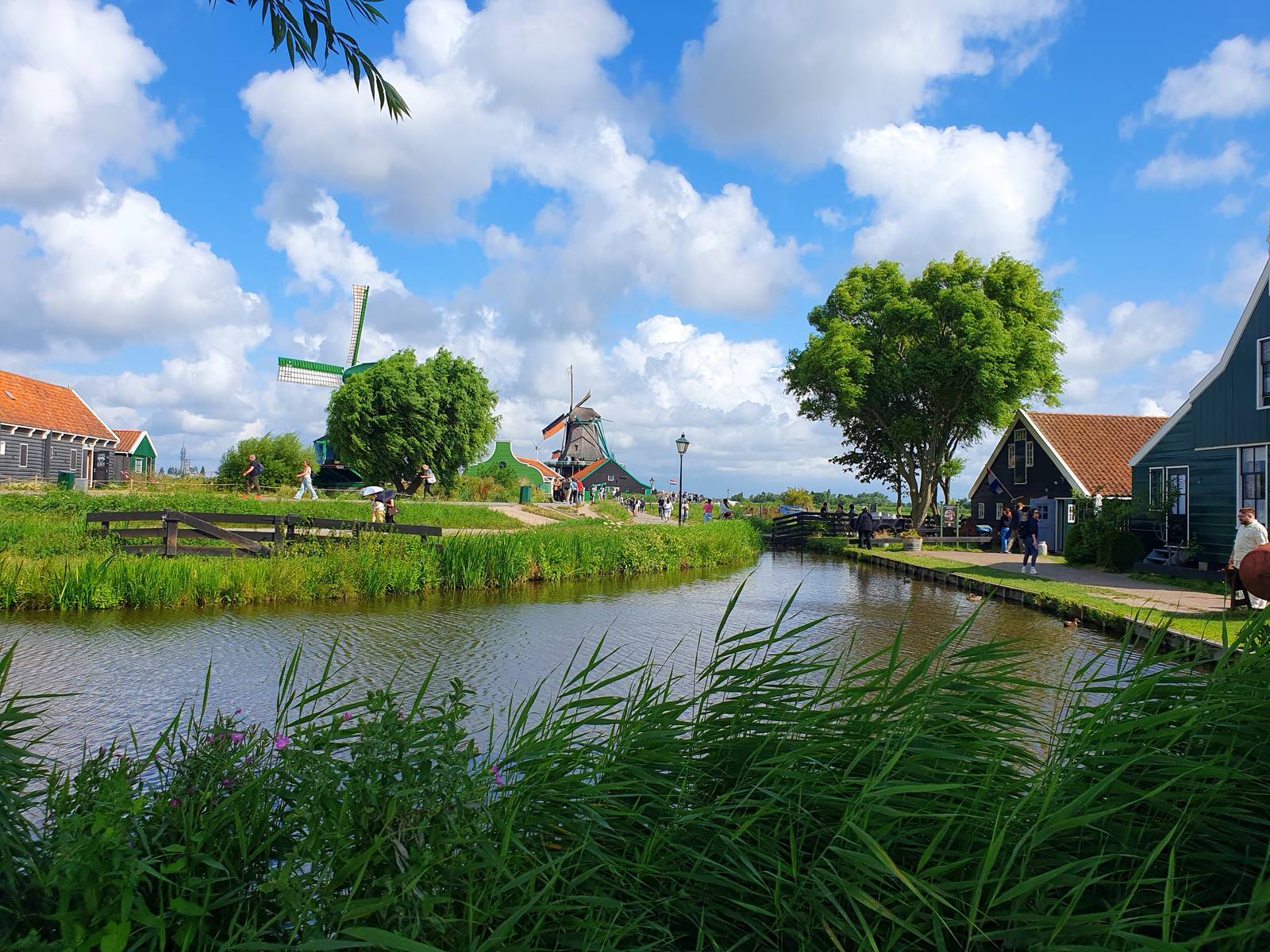 Fotografie