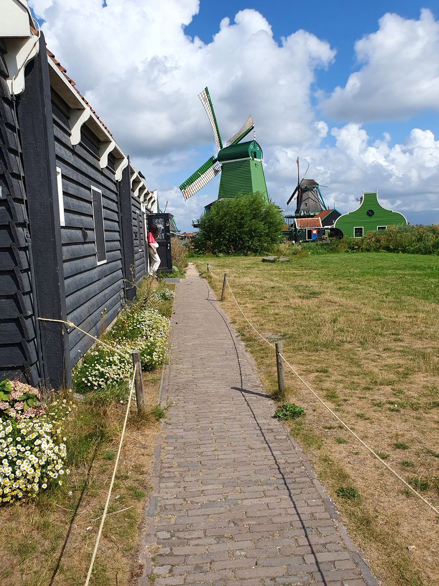Fotografie