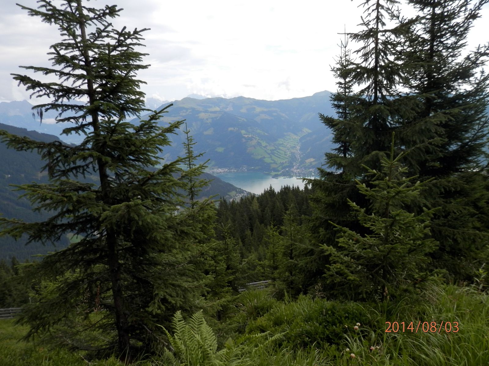 Berg_Schmitten_bei_Zell_am_See_33.jpg