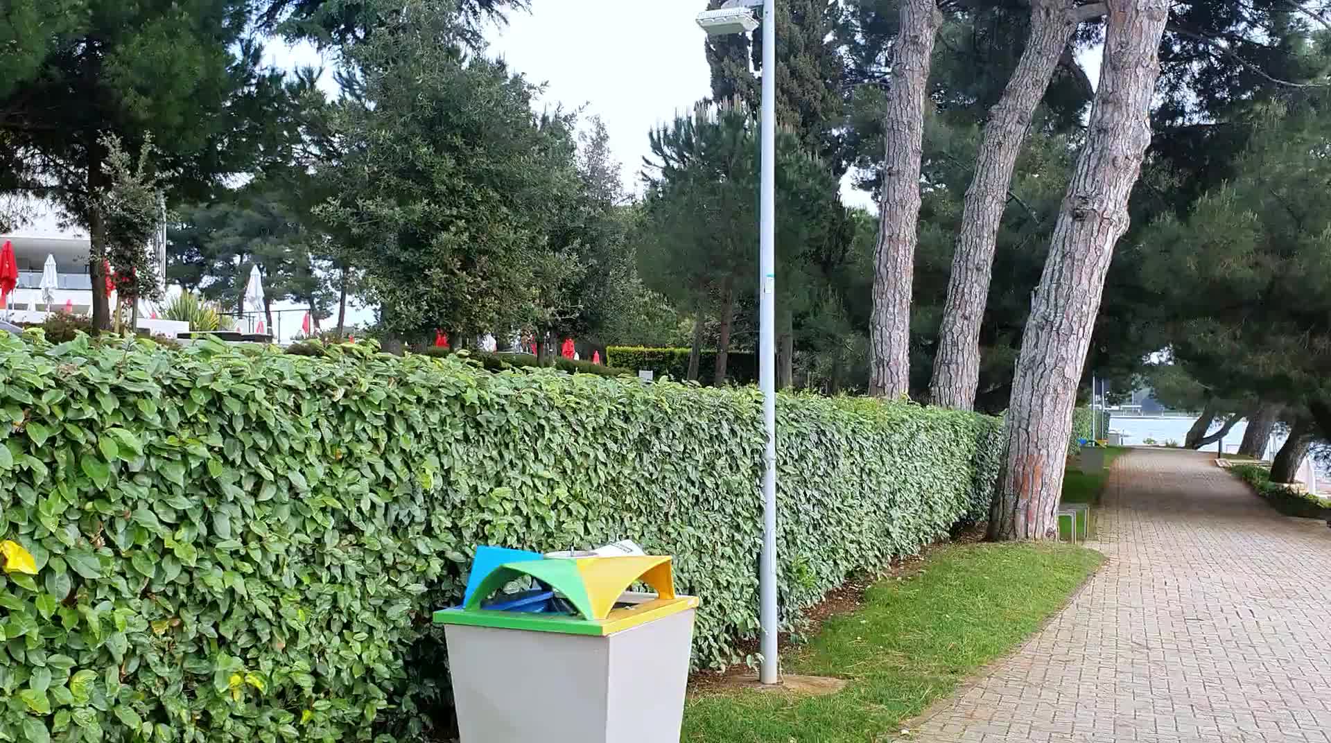 Fotografie