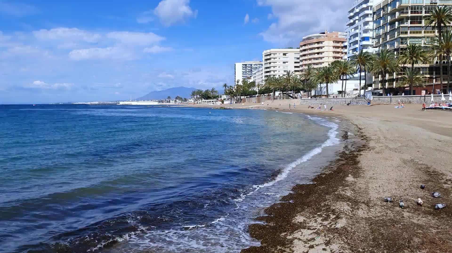 VID_20250508_113002.mp4