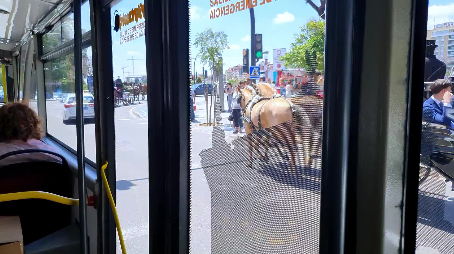 VID_20250506_132212.mp4