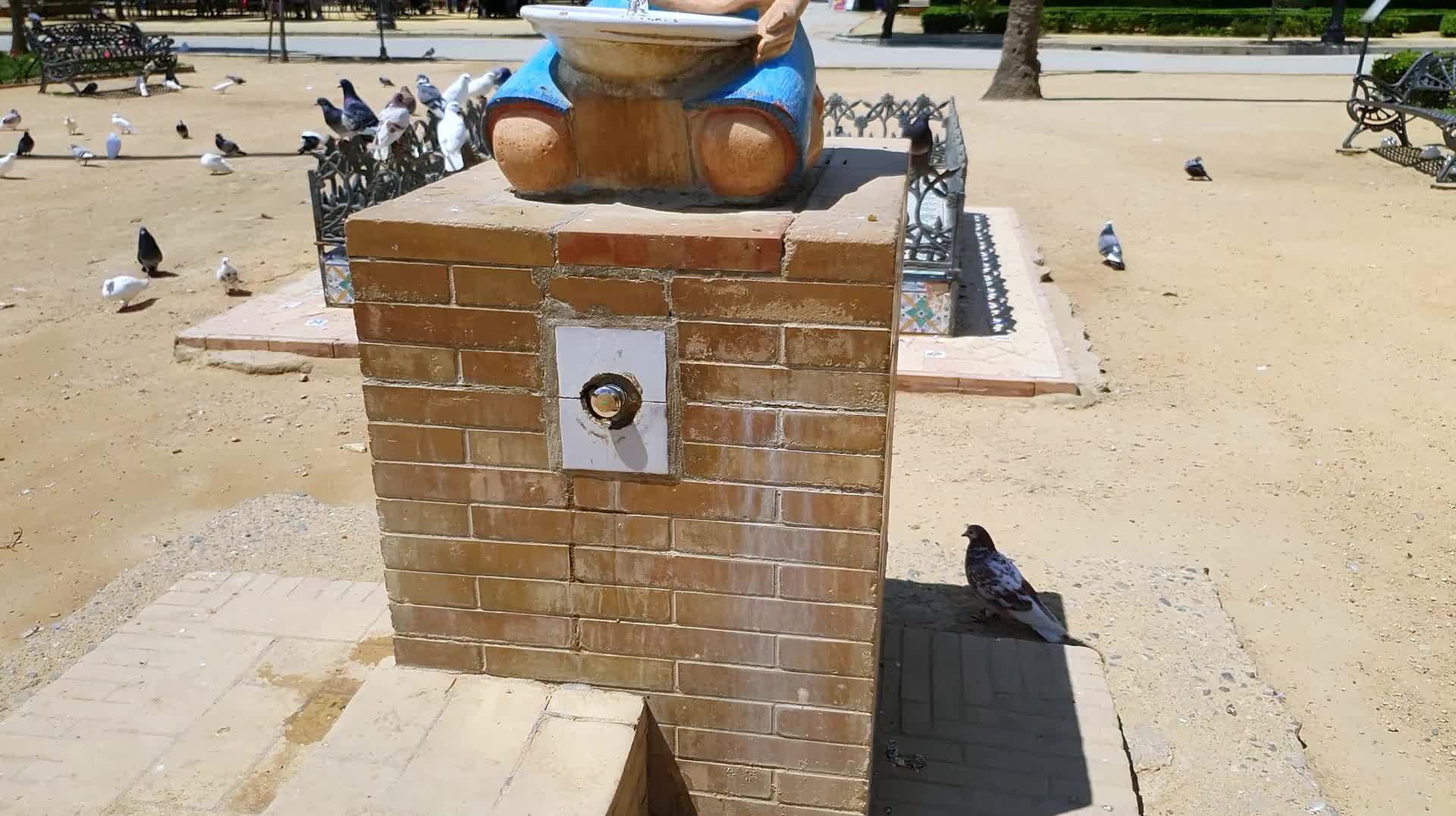 VID_20250506_151418.mp4