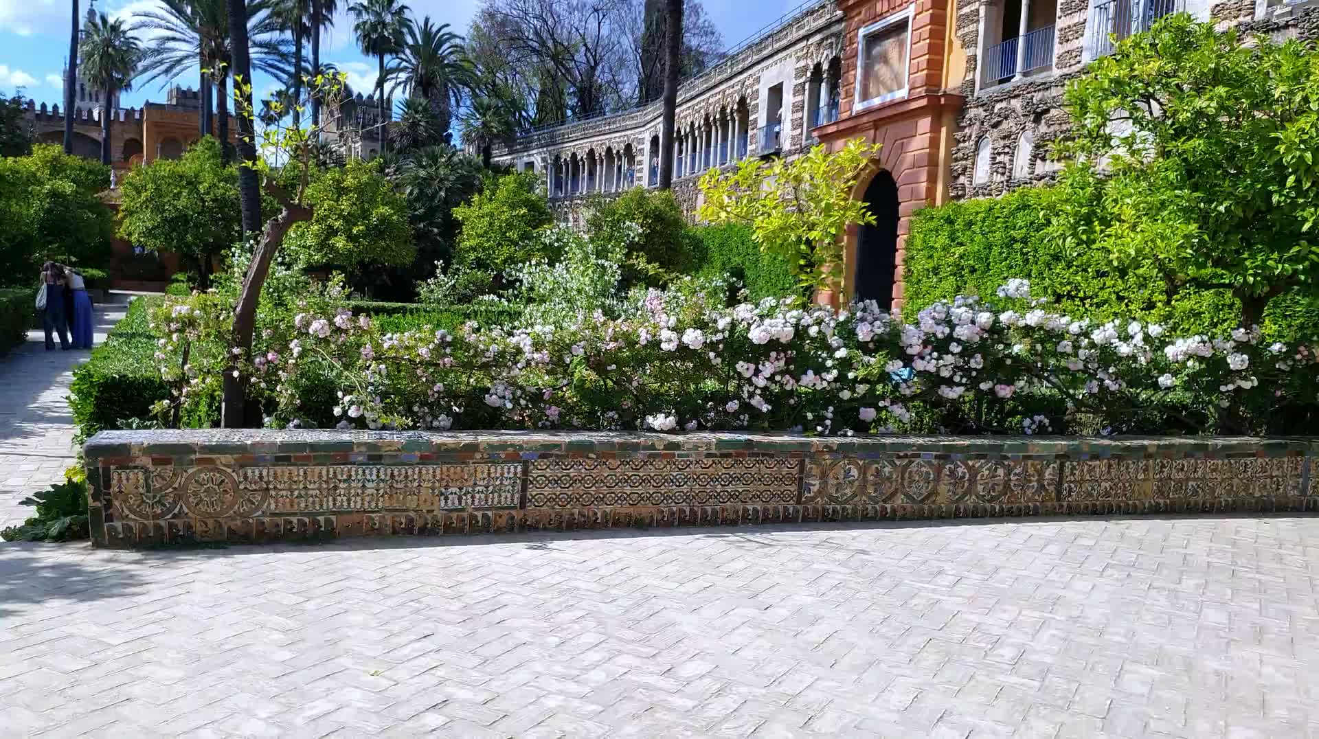 VID_20250506_175042.mp4