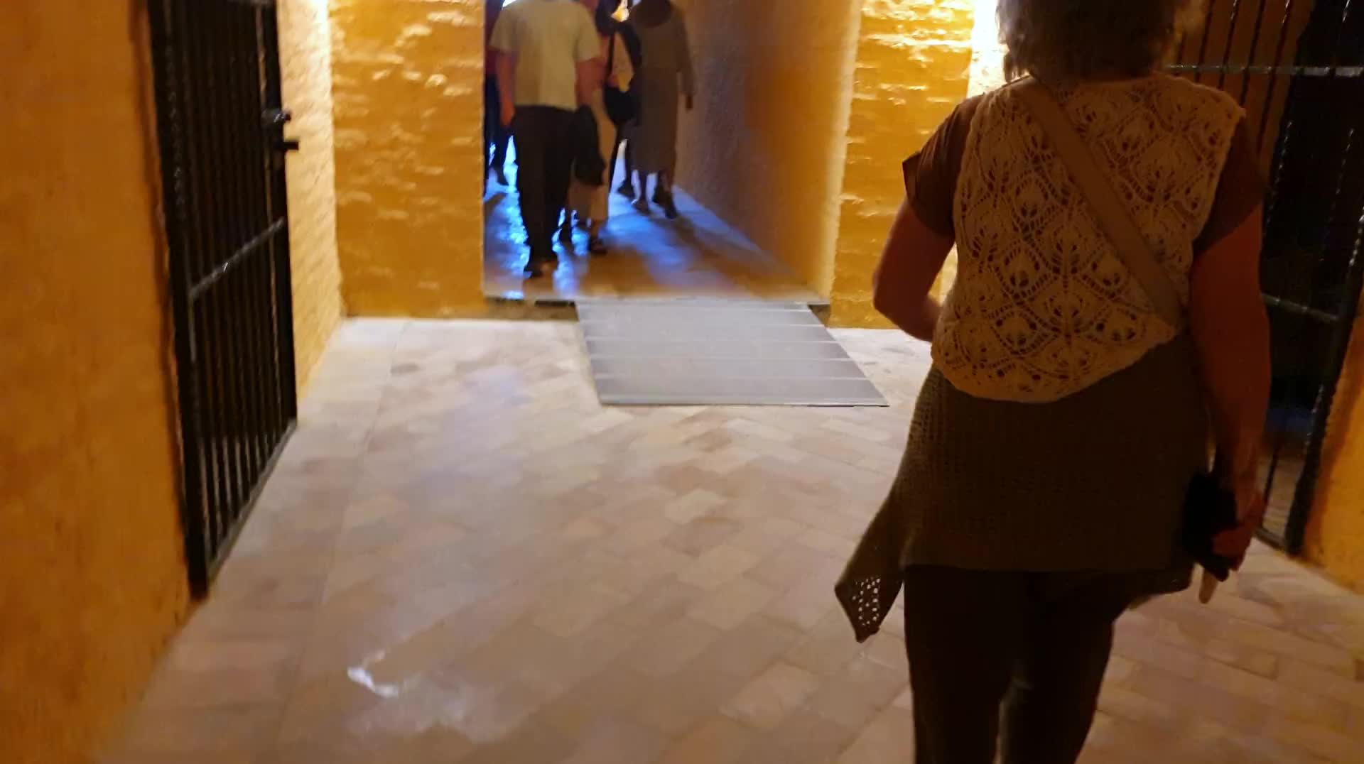 VID_20250506_183023.mp4